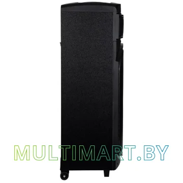 Колонка для вечеринок DENN Constellation DPS455 картинка 4